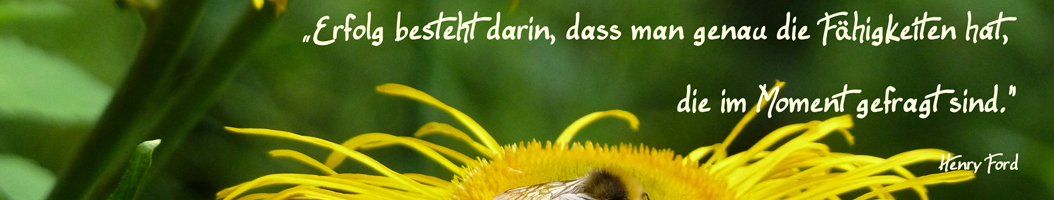 header10